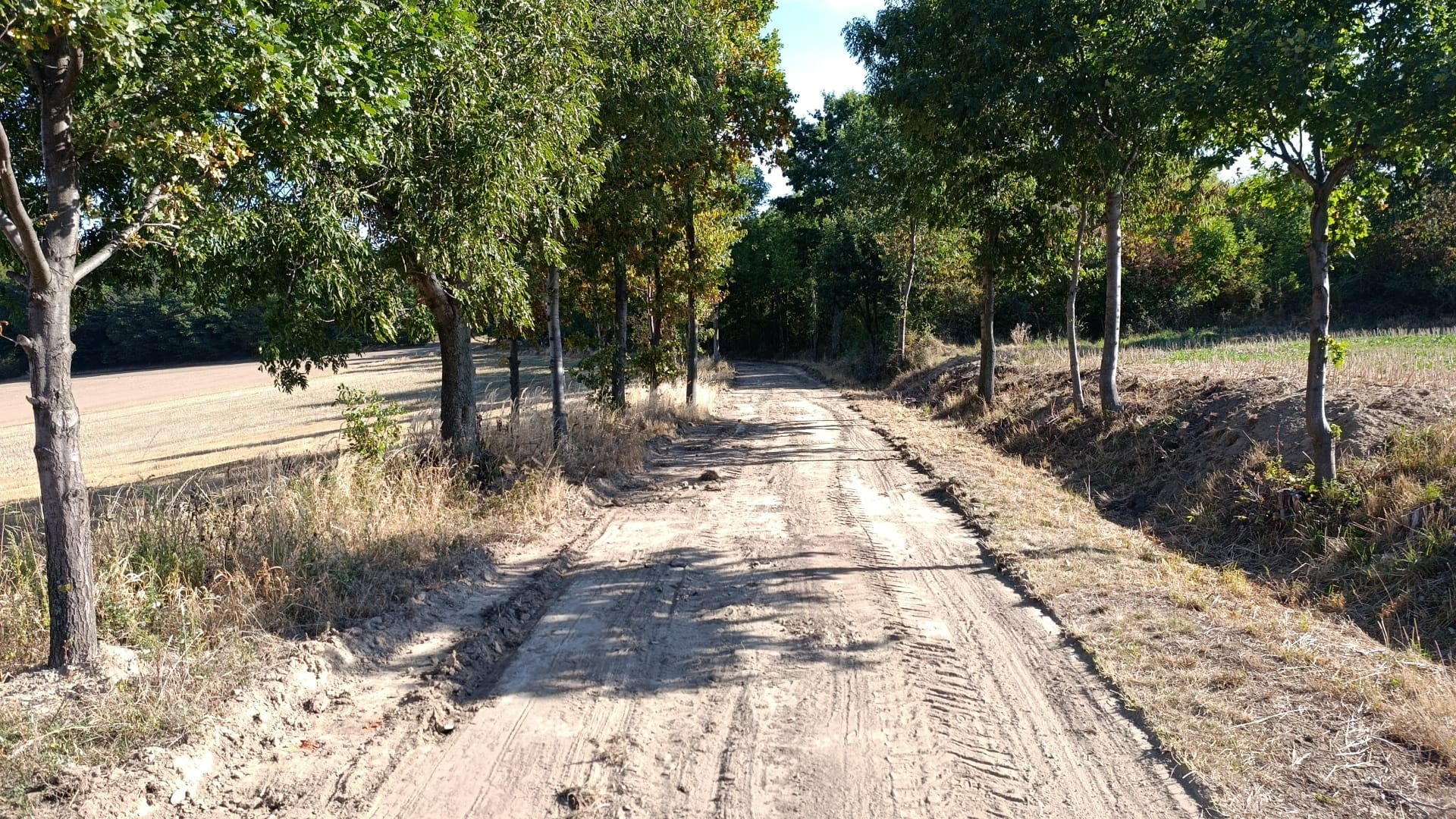Realizacja Niwelo 7
